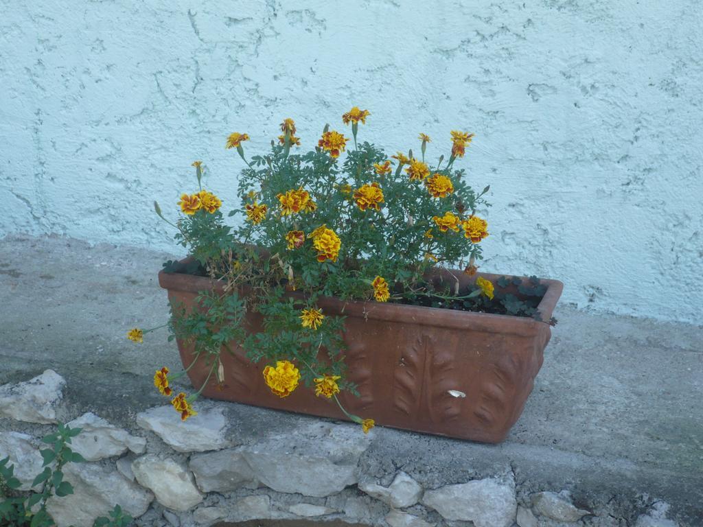 Appartamento Michela Brenzone sul Garda Habitación foto